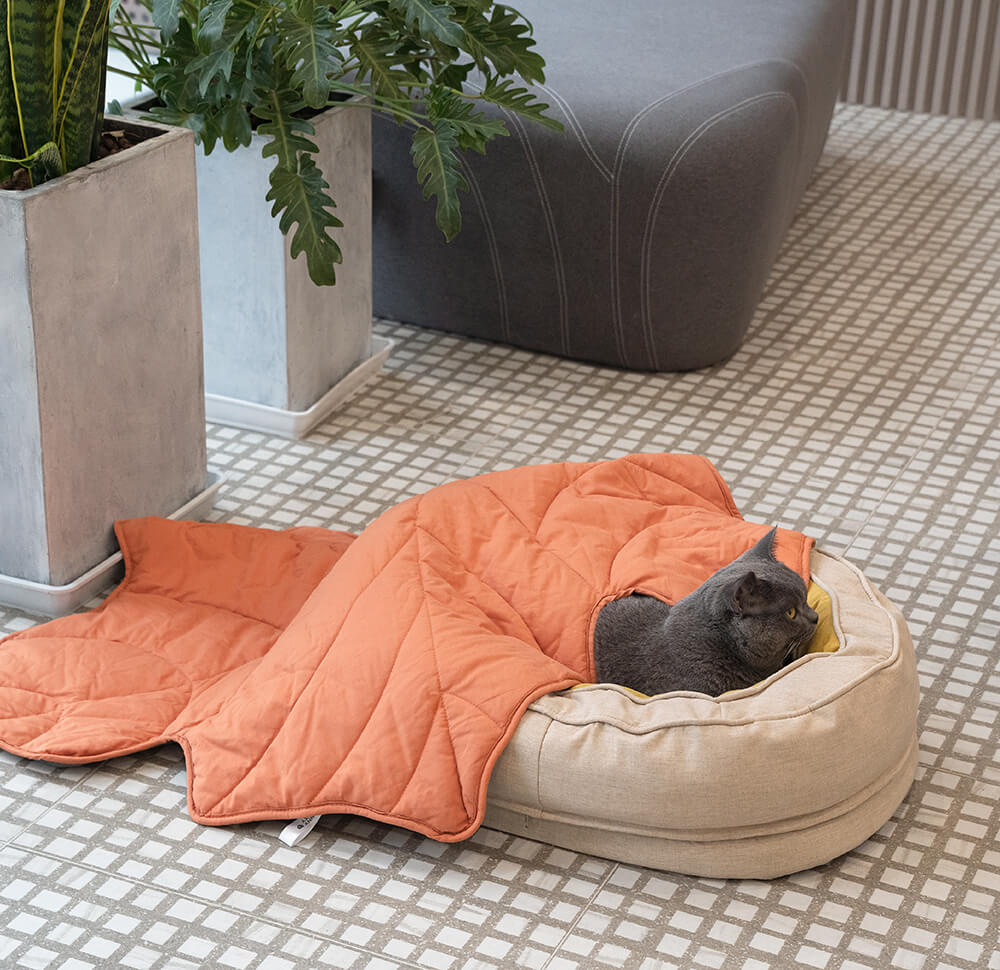Hond Bed In Donut Vorm – Comfort En Zachtheid