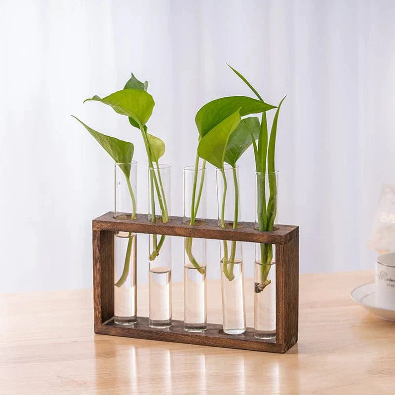 Vaasbuizen Decoratief – Eenvoud en Natuurlijke Stijl