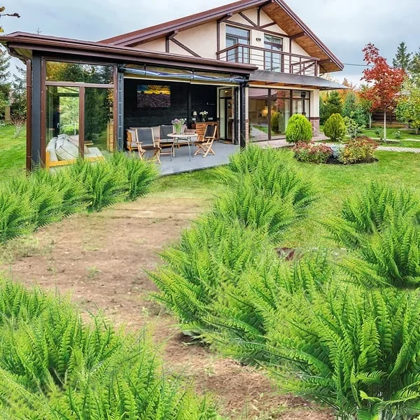 Ferigă Decorativă Artificială – Aspect Realist și Durată Lungă