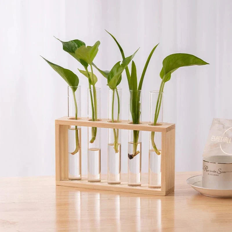 Vaasbuizen Decoratief – Eenvoud en Natuurlijke Stijl