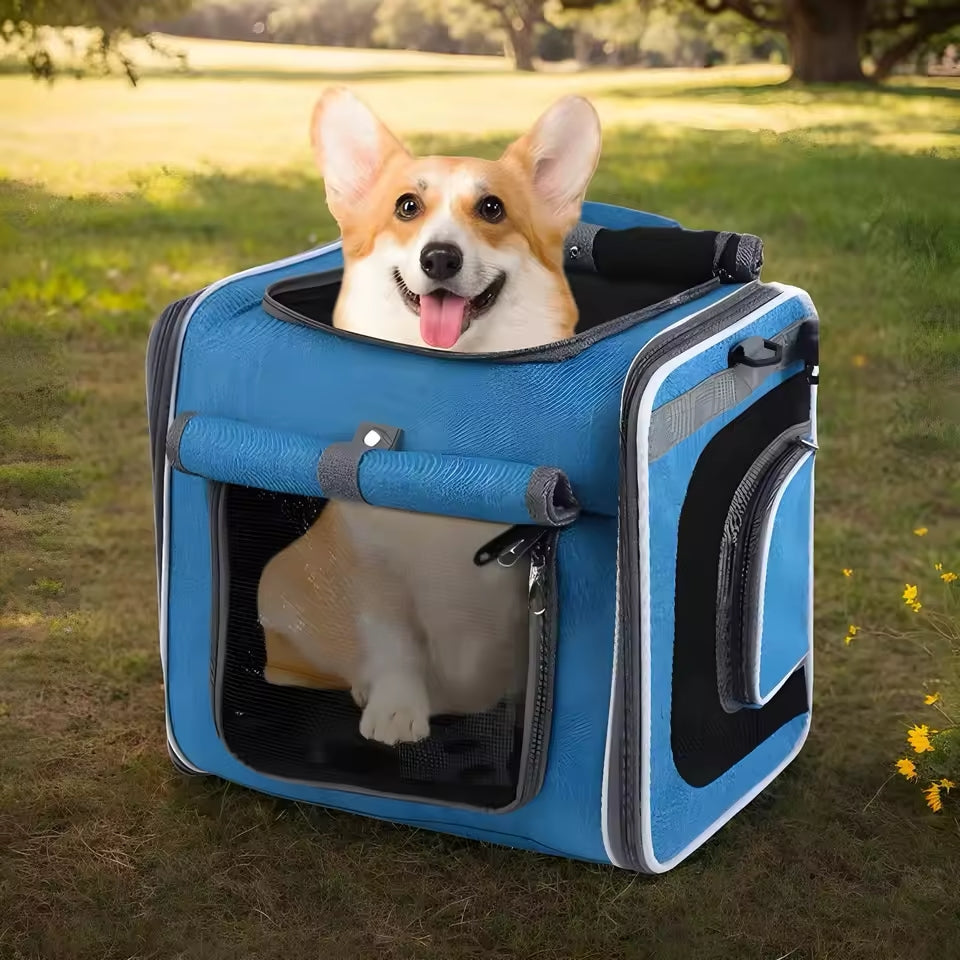 Utvidbar cykelkorg för djur – Praktisk och bekväm