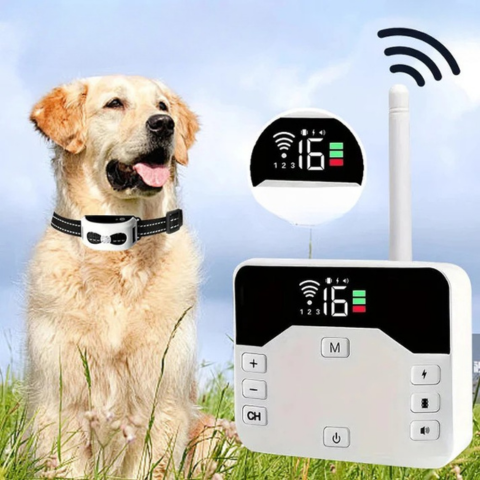 Recinzione Senza Fili Con Collare Di Addestramento – Sicurezza E Educazione Per Cani