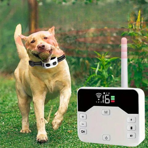 Recinzione Senza Fili Con Collare Di Addestramento – Sicurezza E Educazione Per Cani