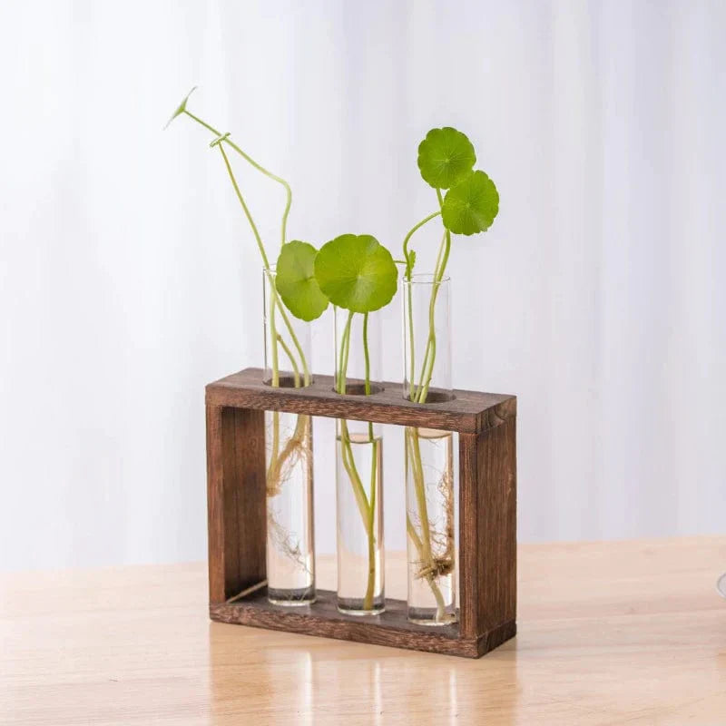 Vaasbuizen Decoratief – Eenvoud en Natuurlijke Stijl