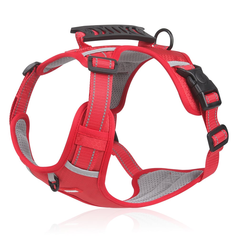 Imbracatura Riflettente Per Cani - Comfort E Sicurezza