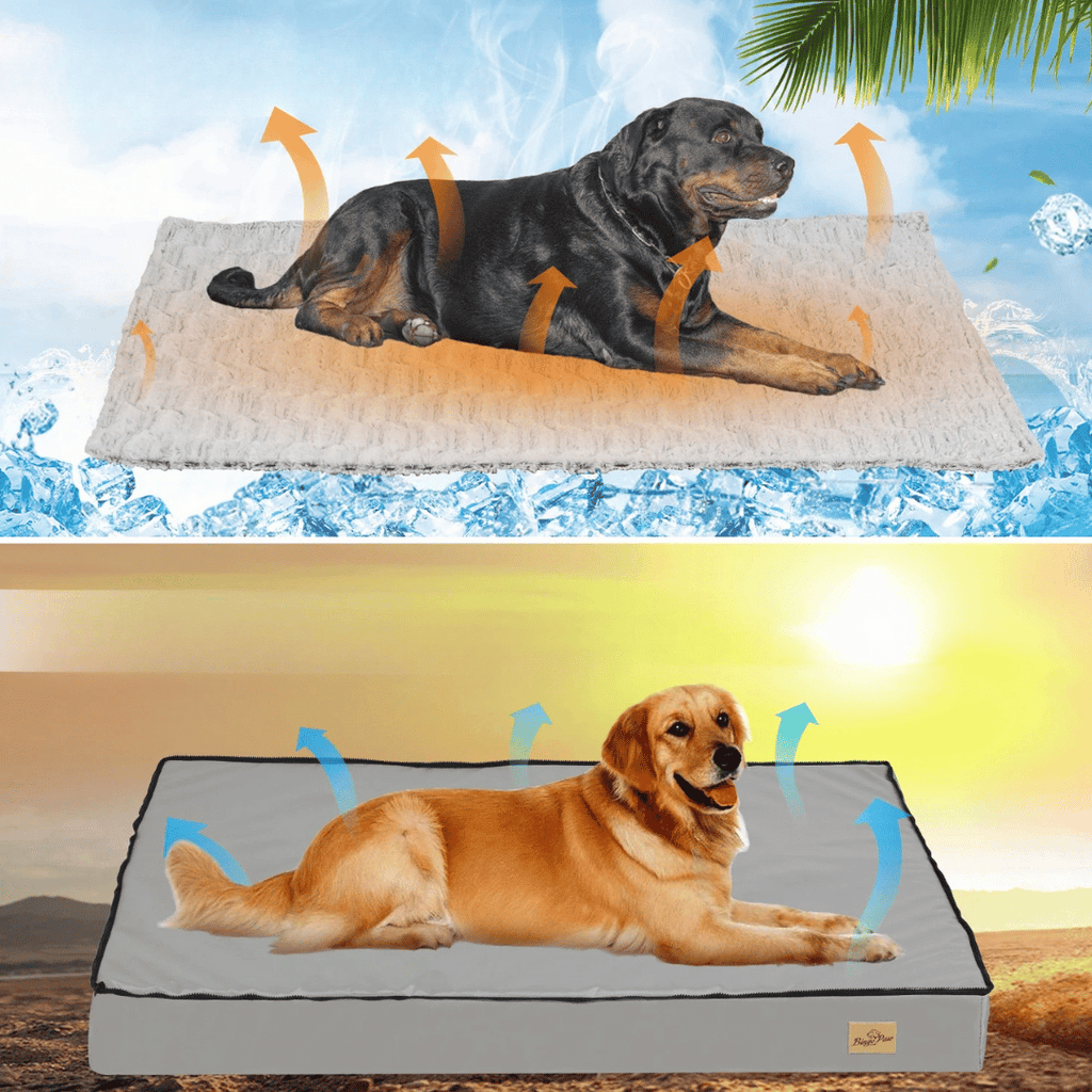 Letto Confortevole Per Cani  – Ideale Per Il Riposo E Il Recupero 