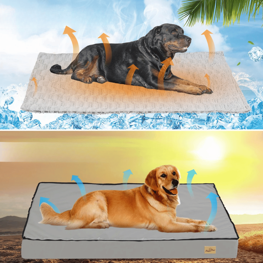 Letto Confortevole Per Cani  – Ideale Per Il Riposo E Il Recupero 