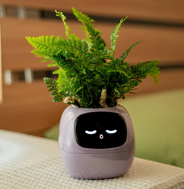 Emoji Maceta de Flores – Decoración Original y Divertida 