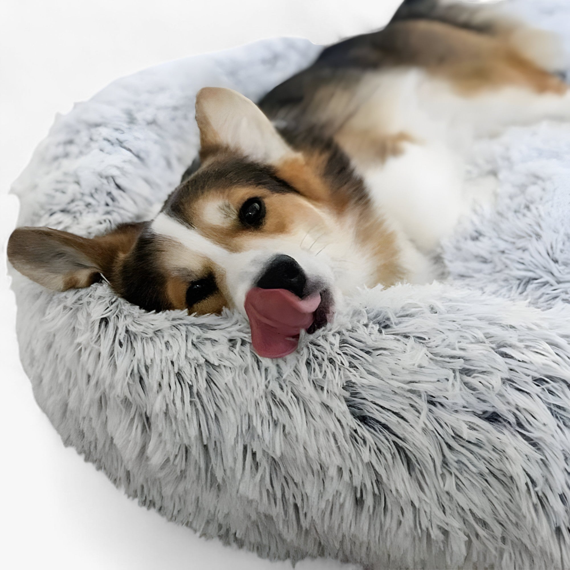 Lugnande Säng För Djur – Bekväm Och Återställande Sömn 