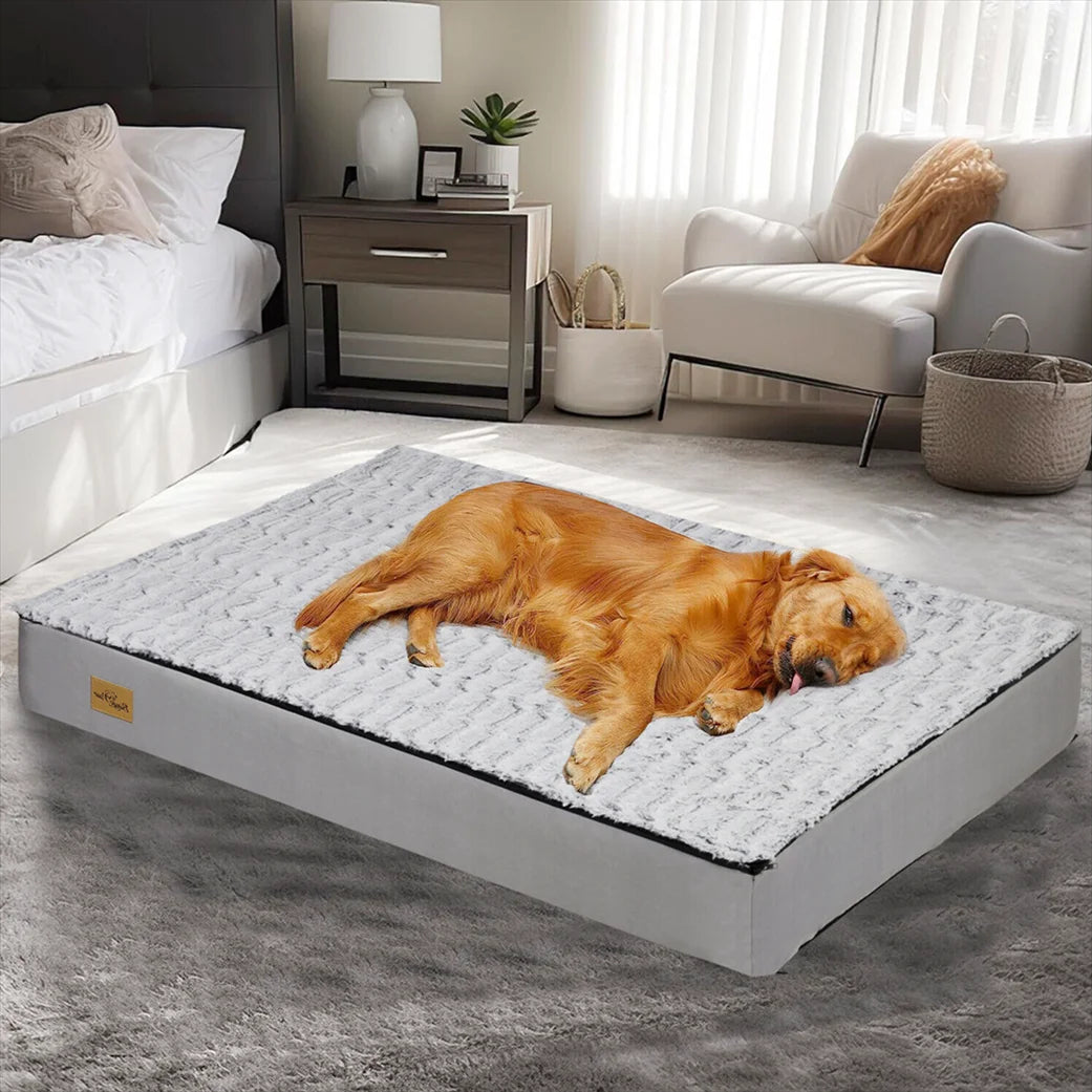 Letto Confortevole Per Cani  – Ideale Per Il Riposo E Il Recupero 