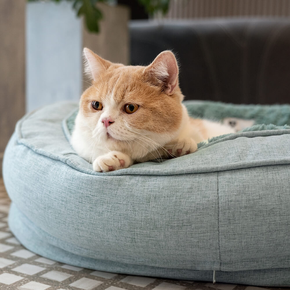 Posteľ vo forme donutu pre psa – pohodlie a jemnosť 