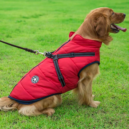 Wasserdichter Parka für Hunde - Schutz & Stil 