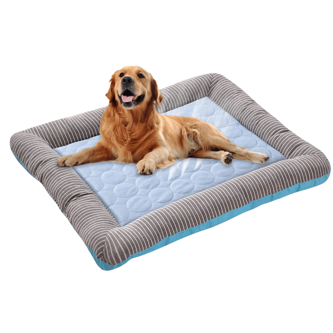 Capa Refrescante Para Cão – Frescura E Conforto No Verão 