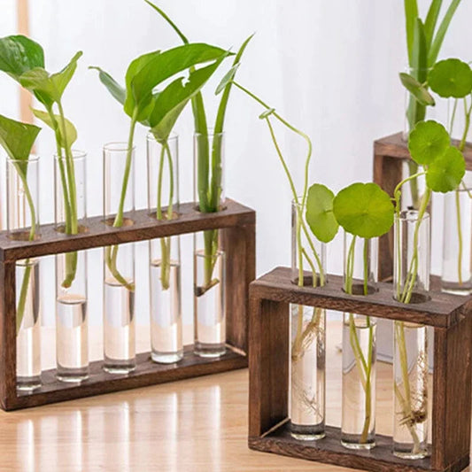 Vaasbuizen Decoratief – Eenvoud en Natuurlijke Stijl 