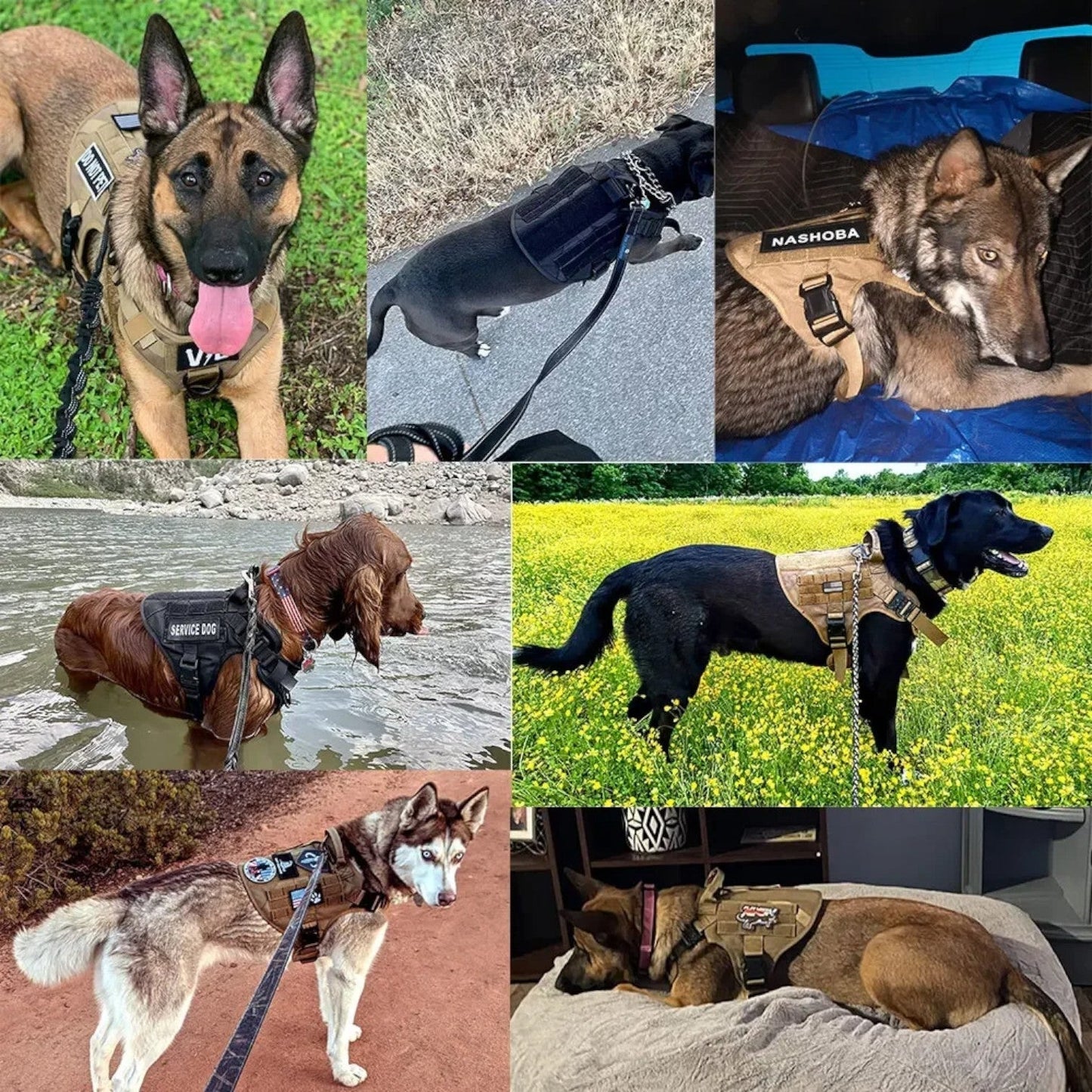Verstelbaar Harnas Voor Honden – Stevigheid En Controle 