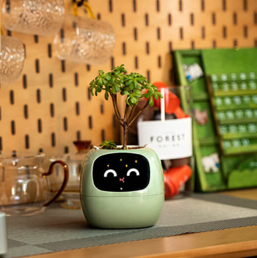 Emoji Maceta de Flores – Decoración Original y Divertida 
