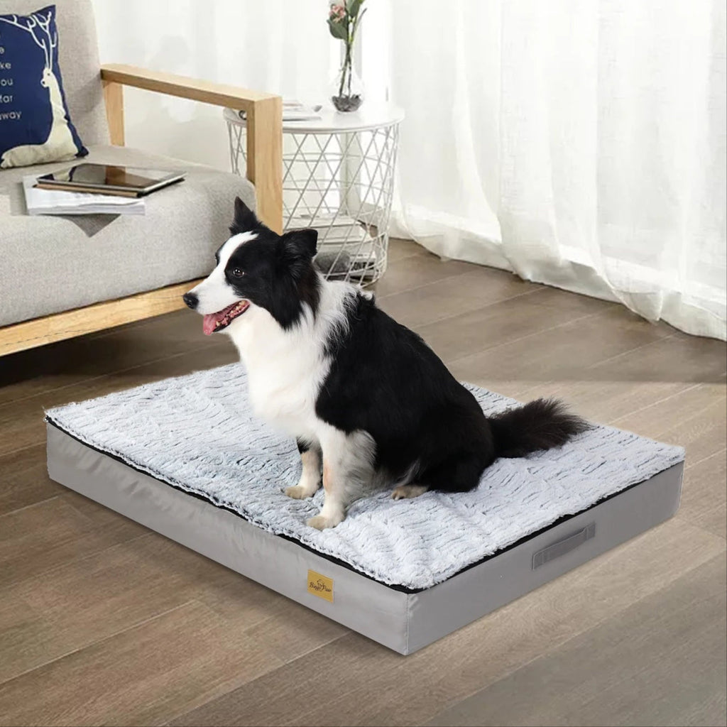 Letto Confortevole Per Cani  – Ideale Per Il Riposo E Il Recupero 