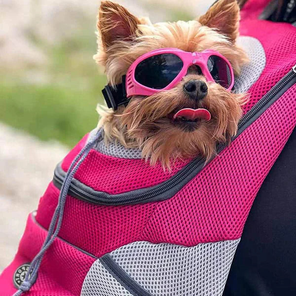 Mochila de Animales – Ventana Transparente y Gran Espacio Interior 
