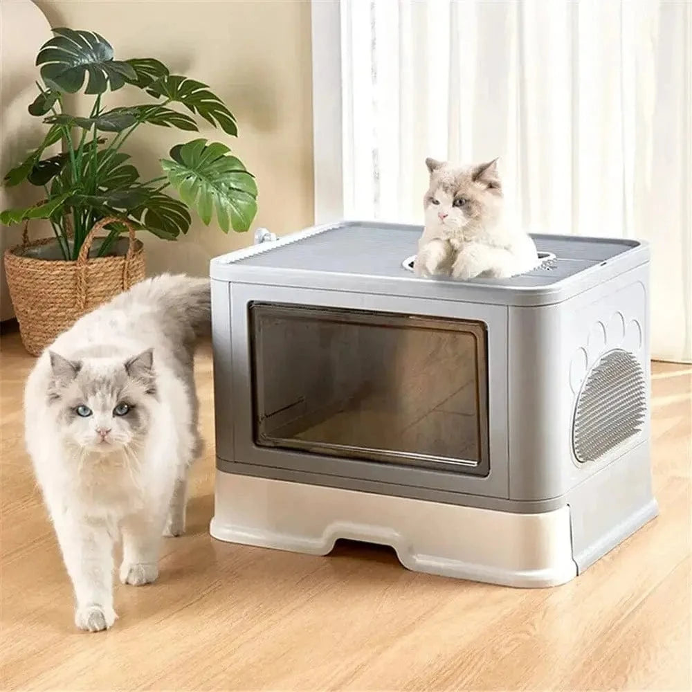 Areia para Gato – Conforto e Higiene Otimais 