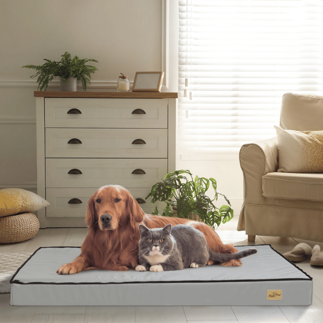 Letto Confortevole Per Cani  – Ideale Per Il Riposo E Il Recupero 