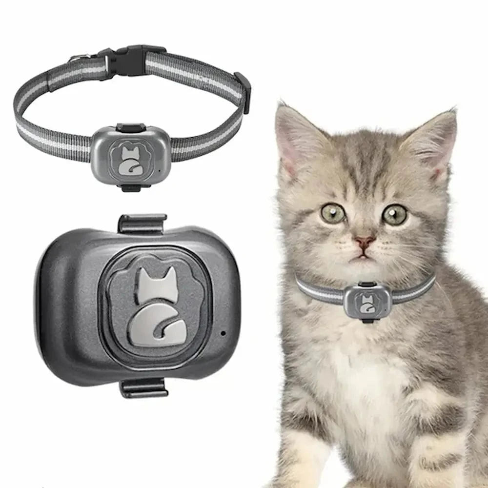 Colar Rastreadores GPS Para Gato – Localização Fácil e Fiável 